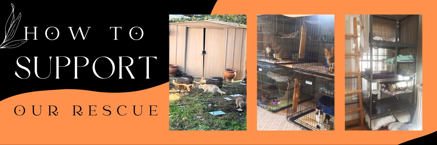 How to Support Advocats Life Rescue Group